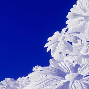 变态 国产 另类 捆绑
